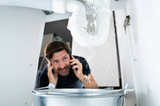 Best Emergency Plumber  in Stoughton, WI