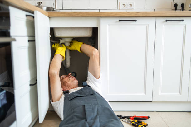 Best Clogged Drain Plumber  in Stoughton, WI